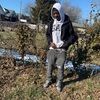 502_dully